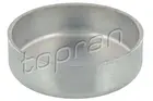 Frost Plug 109 378