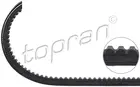 Power steering belt 201 808