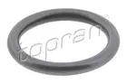 Nozzle gasket 100 678