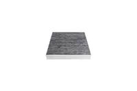 Cabin Filter 180001410