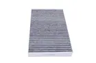 Cabin Filter 250201410