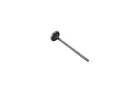 Exhaust valve 130097310