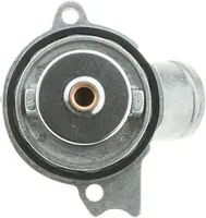 Termostatas TH31887G1