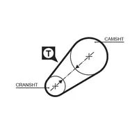 Distribution belt 5014