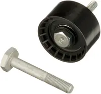 Guolis atraminis (parazitinis) T42140
