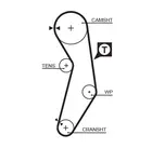 Distribution belt 1411RM