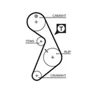 Distribution belt 5395