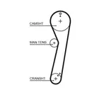 Distribution belt 5029