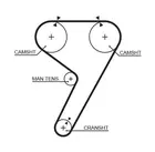 Distribution belt 5304