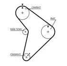 Distribution belt 5307