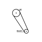 Distribution belt 5713XS