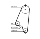 Distribution belt 1310RM