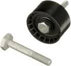 Guolis atraminis (parazitinis) T42140