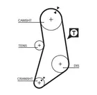 Distribution belt 5041