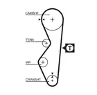 Distribution belt 5124