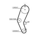 Distribution belt 5272