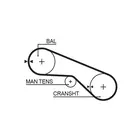 Distribution belt 5025