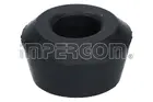Bush of rear beam 26724