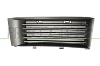Lattice for front bumper SK3202124