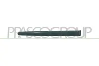 Molding PG0091453