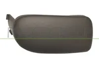 Lattice for front bumper RN0241248