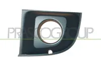 Lattice for front bumper FT0302134