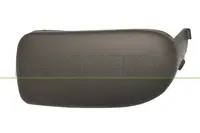Lattice for front bumper RN0241247