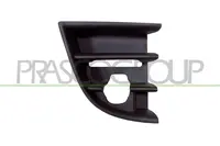 Lattice for front bumper SK0282123