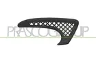 Lattice for front bumper FT1332153