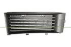 Lattice for front bumper SK3202123