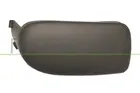Lattice for front bumper RN0241248