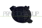Lattice for front bumper DS0121250