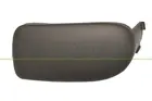 Lattice for front bumper RN0241247