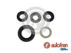 Repairs set for master cylinder D1703