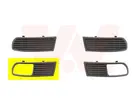 Lattice for front bumper 4913594