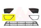 Lattice for front bumper 1861594
