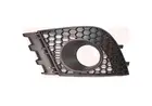 Lattice for front bumper 4918593