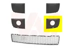 Lattice for front bumper 1604593