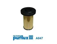 Filtras oro A847
