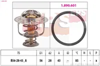 Termostatas 1.880.398