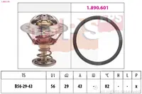 Termostatas 1.880.339