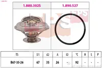 Termostatas 1.880.302
