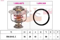 Termostatas 1.880.687