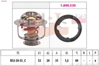 Termostatas 1.880.489