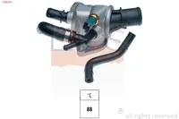 Termostatas 1.880.675