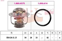 Termostatas 1.880.449