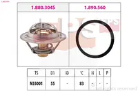 Termostatas 1.880.304