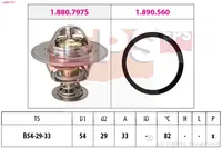 Termostatas 1.880.797