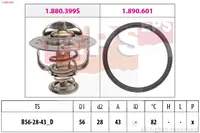 Termostatas 1.880.404