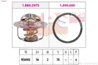Termostatas 1.880.397
